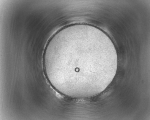 X0000065980807200603031153