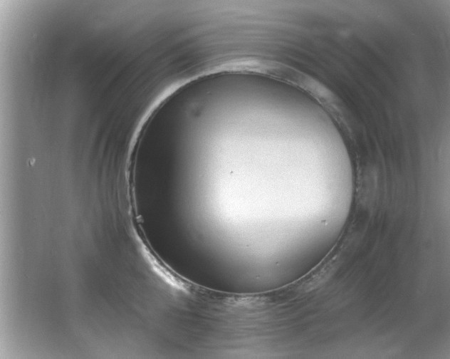 X0000065980808200603031153