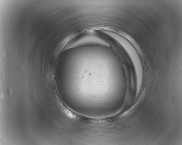 X0000065980809200603031153