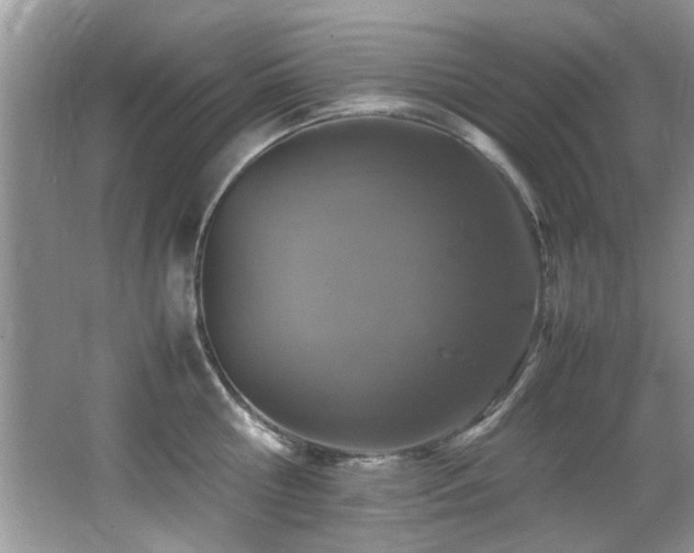 X0000065980810200603031153