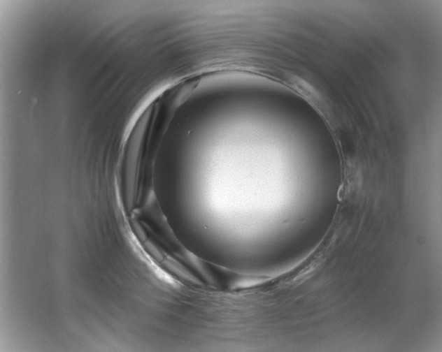 X0000065980812200603031153