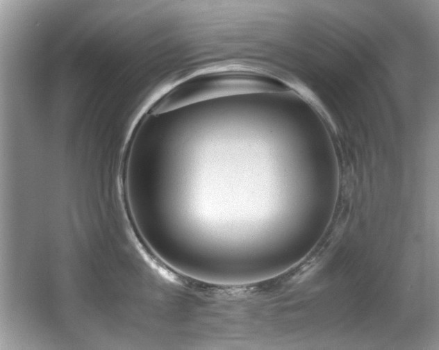 X0000065980813200603031153