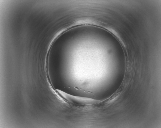 X0000065980815200603031153