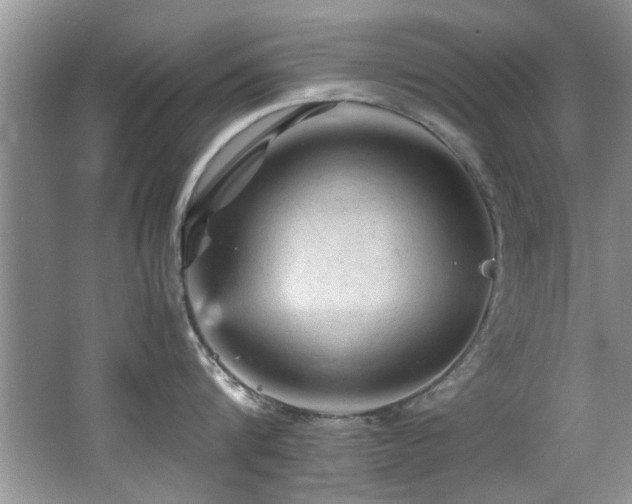 X0000065980816200603031153