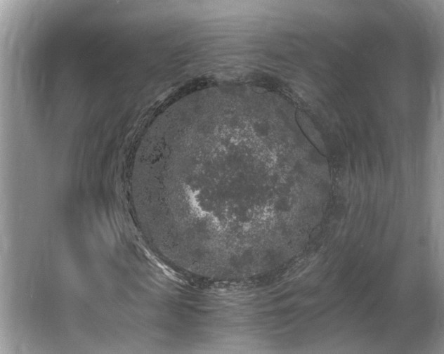 X0000065980817200603031152