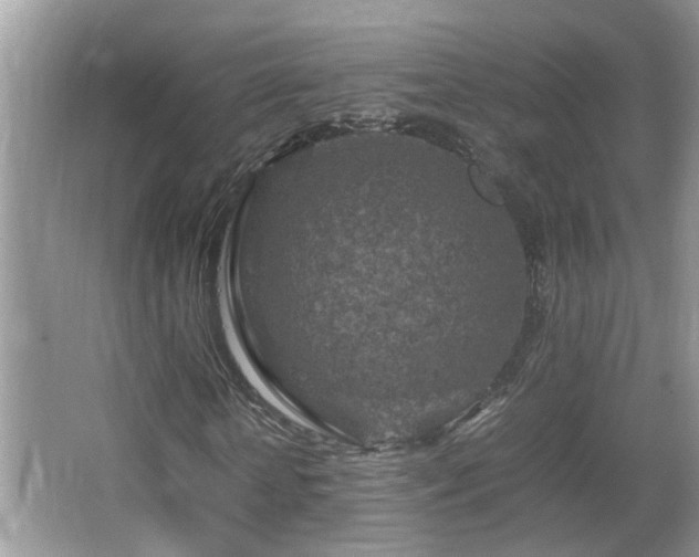 X0000065980818200603031152