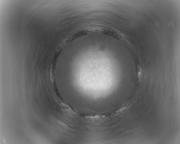 X0000065980819200603031152