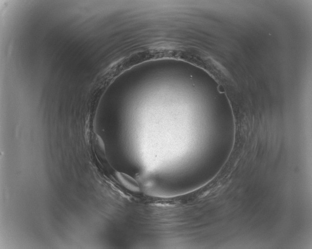 X0000065980821200603031152