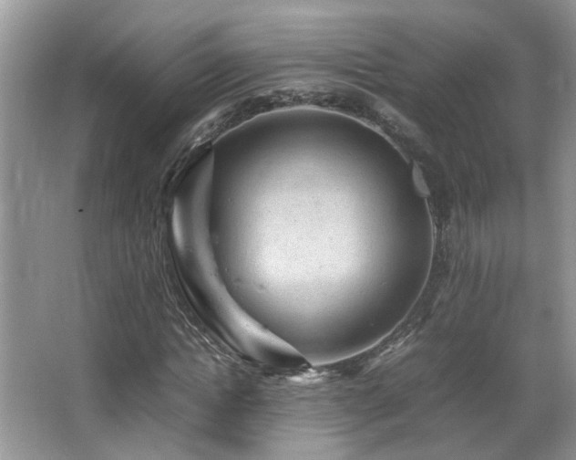 X0000065980822200603031152