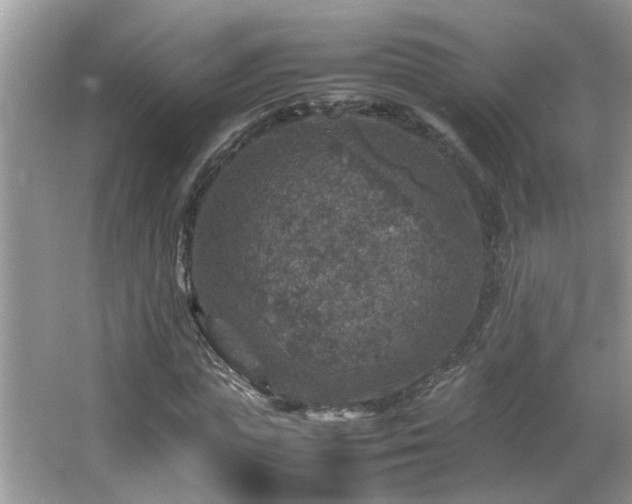 X0000065980823200603031152