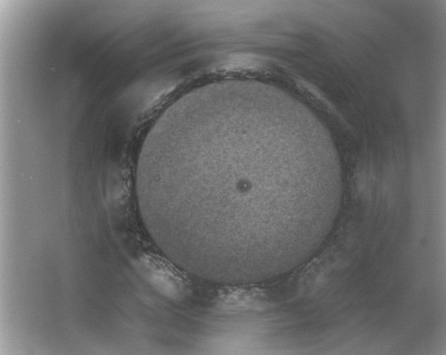 X0000065980824200603031152