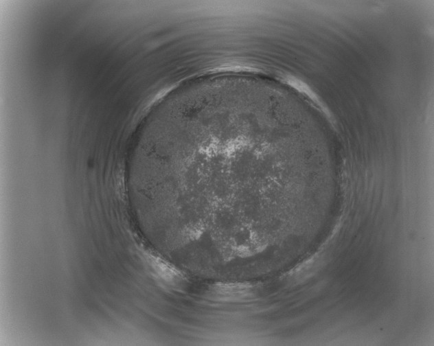 X0000065980825200603031152