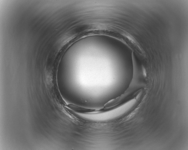 X0000065980826200603031152