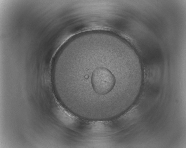 X0000065980828200603031152