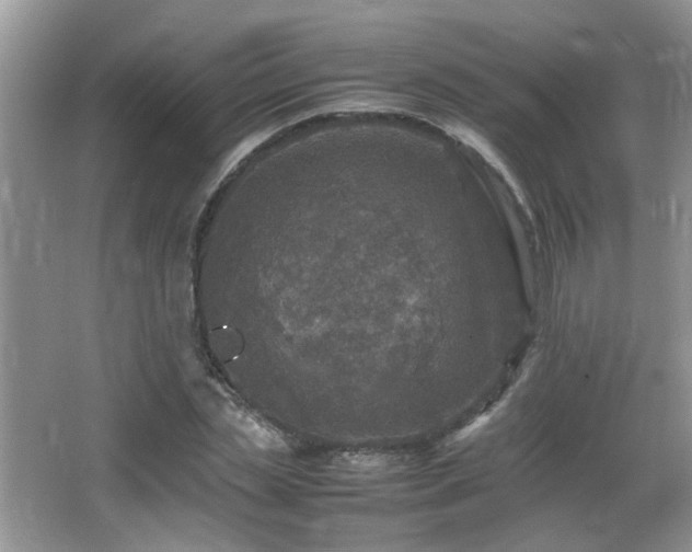 X0000065980829200603031152