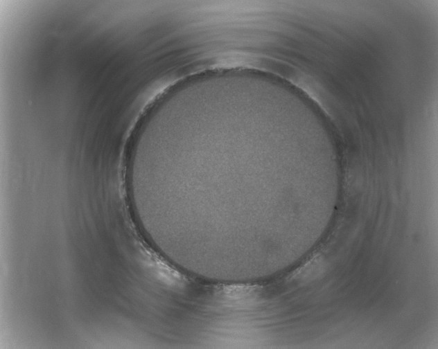 X0000065980832200603031152