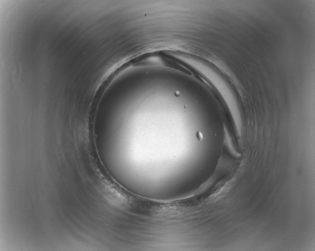 X0000065980834200603031152