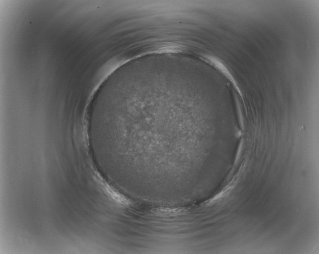 X0000065980835200603031152