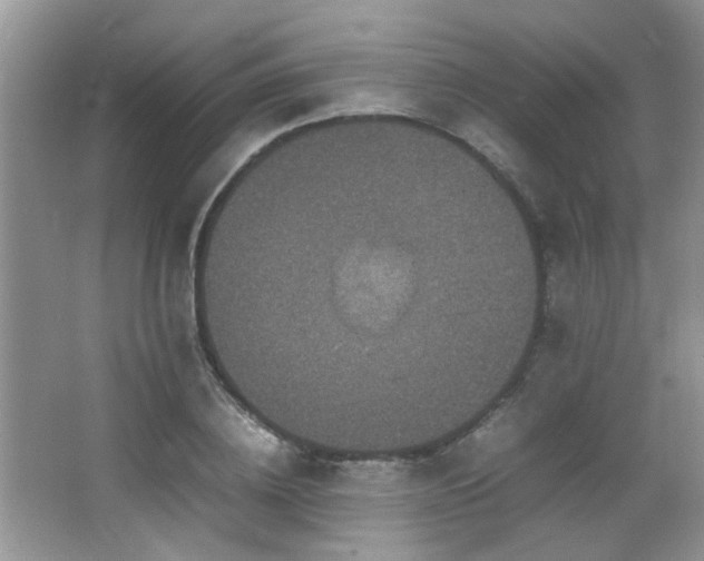 X0000065980836200603031152