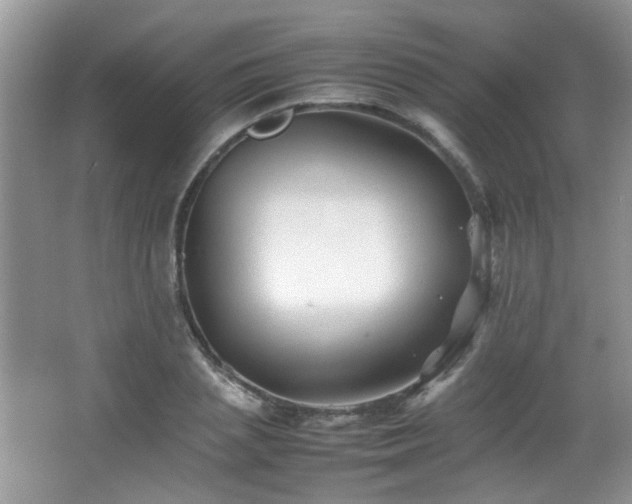 X0000065980837200603031152