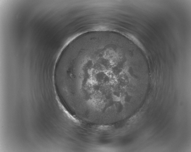 X0000065980839200603031152