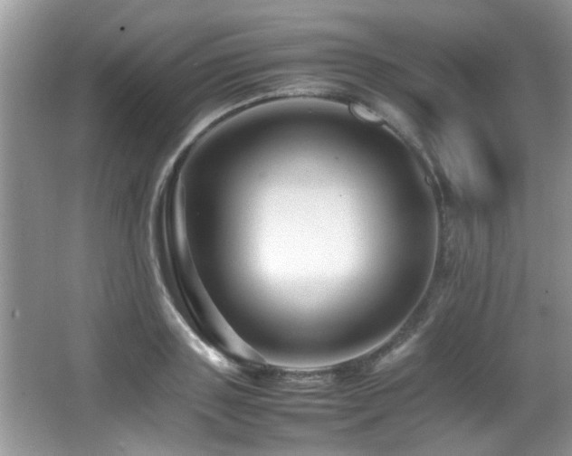 X0000065980843200603031152