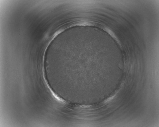 X0000065980845200603031152