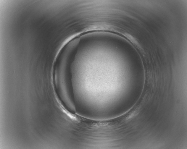 X0000065980846200603031152