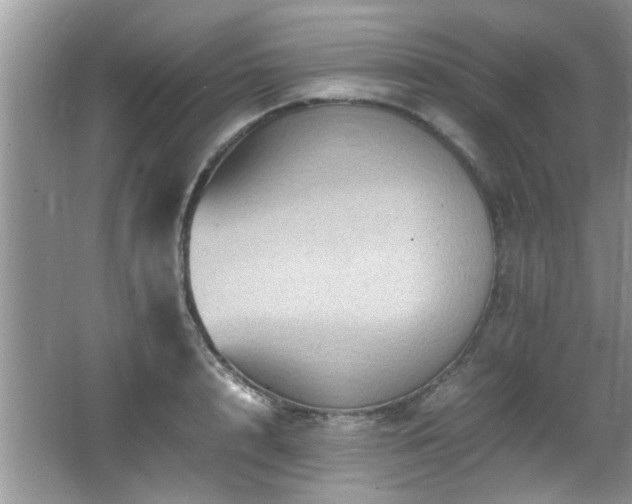 X0000065980848200603031153