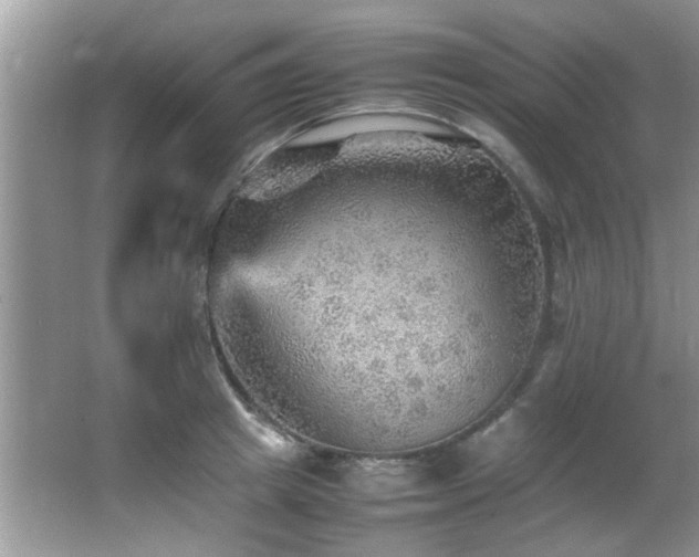 X0000065980849200603031153