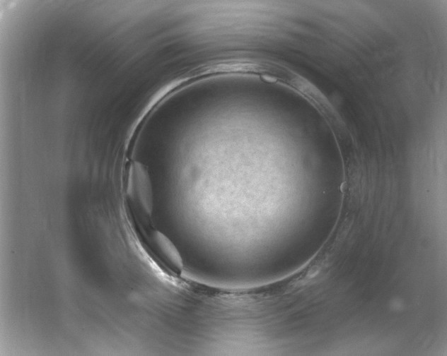 X0000065980852200603031153