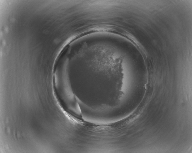 X0000065980853200603031153