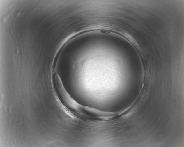 X0000065980854200603031153