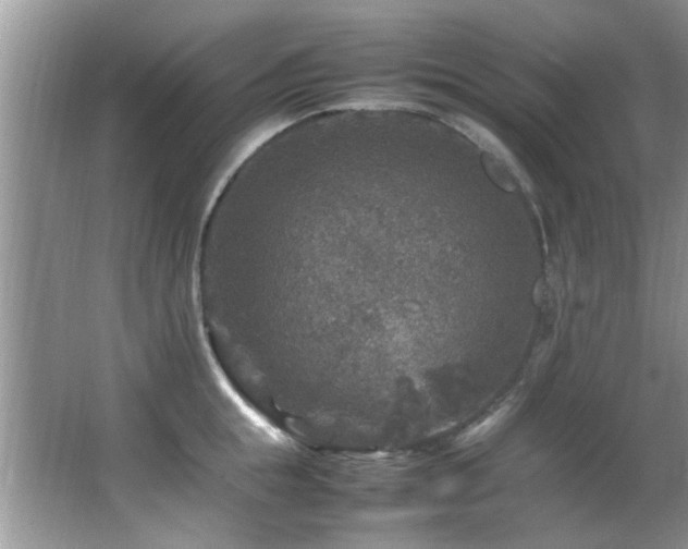 X0000065980855200603031153