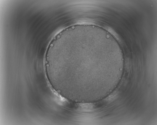 X0000065980856200603031153