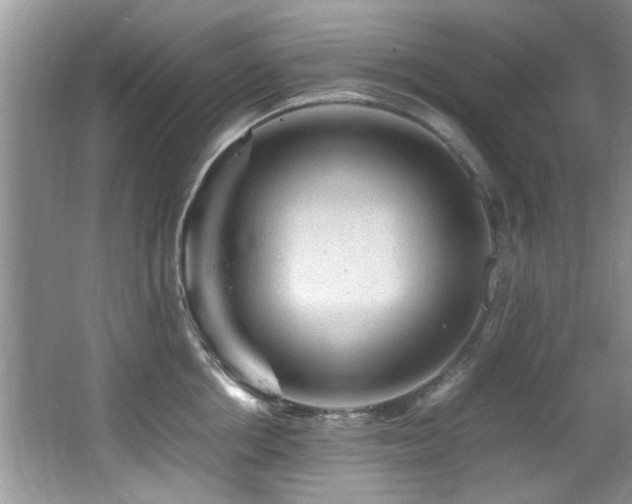 X0000065980858200603031153