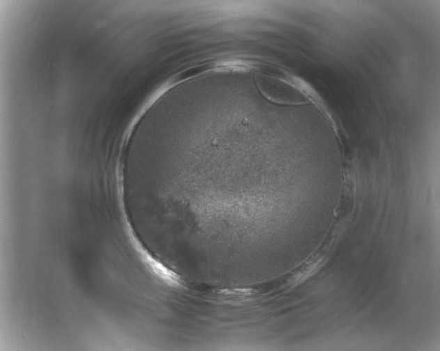 X0000065980859200603031153