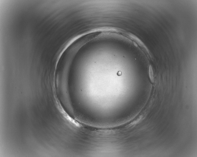 X0000065980860200603031153