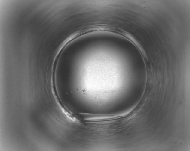 X0000065980861200603031153