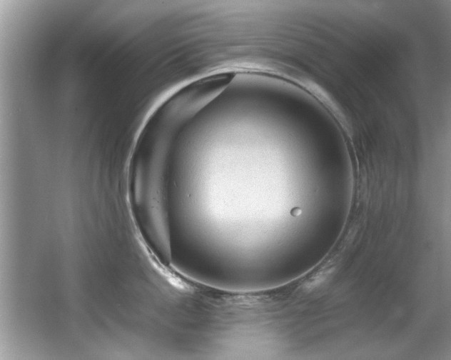 X0000065980862200603031153