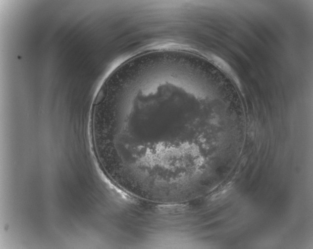 X0000065980863200603031153