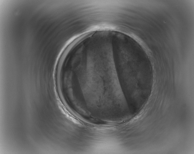 X0000065980864200603031153