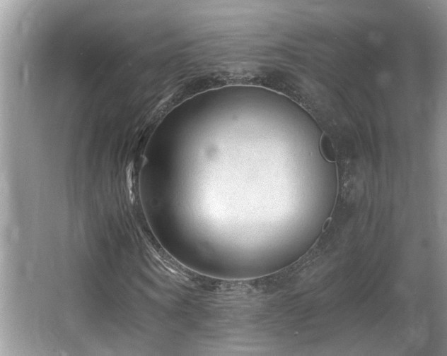 X0000065980866200603031152