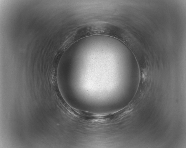 X0000065980867200603031152