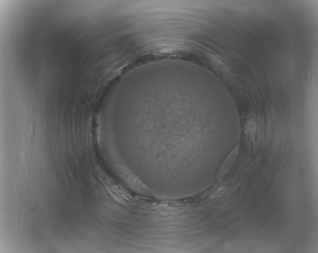 X0000065980868200603031152