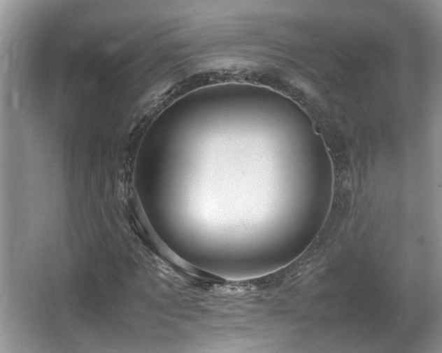 X0000065980869200603031152