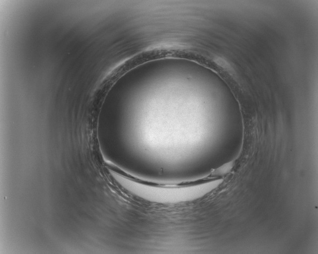 X0000065980872200603031152