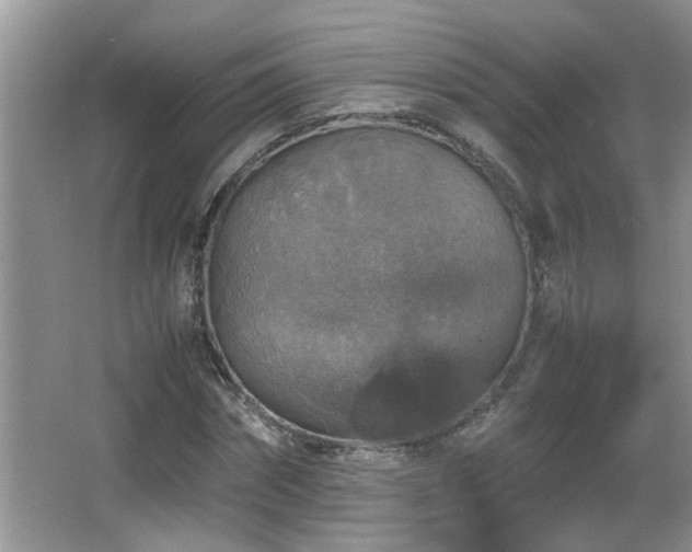 X0000065980874200603031152