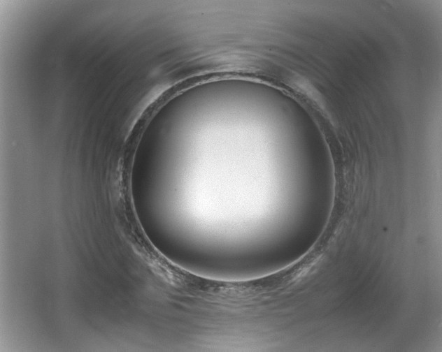 X0000065980875200603031152