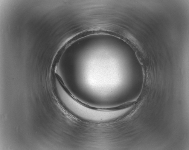 X0000065980876200603031152